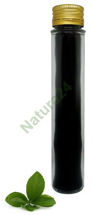 Schungit Karelien Pulver