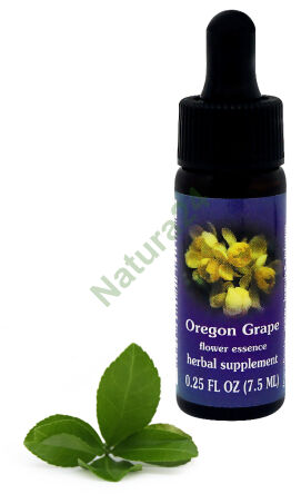 FES Oregon Traube 7,5 ml Tropfen