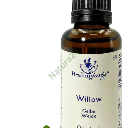 38. WILLOW / Weiße Weide 10/30 ml oder Globuli 15 g - 3