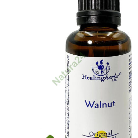 33. WALNUSS / Walnuss 10/30 ml oder Globuli 15 g - 3