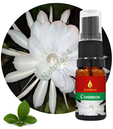 41. Cosmos 10 ml Ararêtama Rainforest Essences