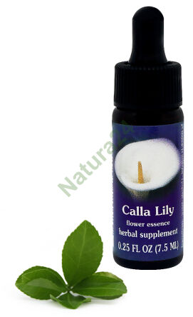 FES Calla-Lilie 7,5 ml Tropfen