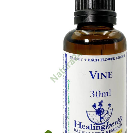32. VINE / Echter Weinrebe 10/30 ml oder Globuli 15 g - 3