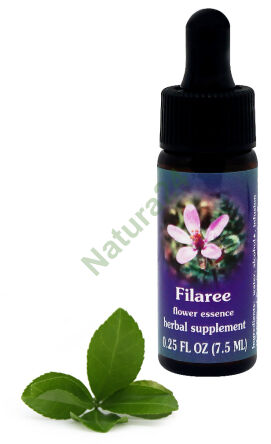 FES Filaree 7,5 ml Tropfen