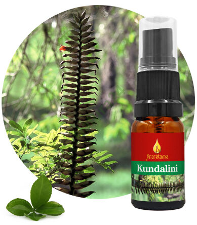 15. Kundalini 10 ml Ararêtama Rainforest Essences