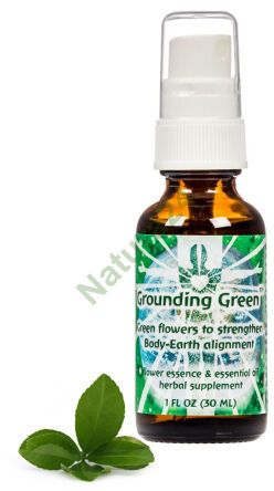FES Erdung Grün Grüne Blumen zur Stärkung der Harmonie von Körper und Erde 30 ml Spray