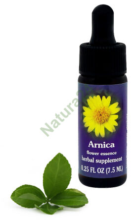 FES Arnika 7,5 ml Tropfen