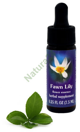 FES Fawn Lily 7,5 ml Tropfen