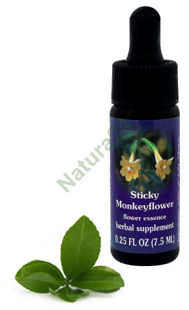 FES Klebrige Affenblume 7,5 ml Tropfen