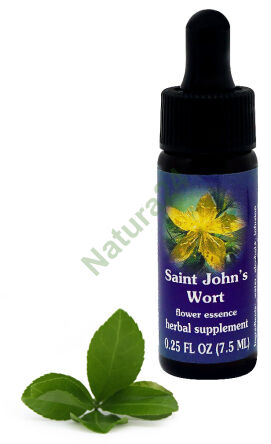 FES Johanniskraut 7,5 ml Tropfen