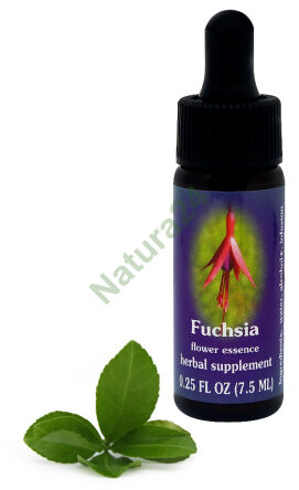 FES Fuchsie 7,5 ml Tropfen
