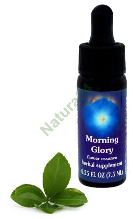 FES Morgenröte 7,5 ml Tropfen