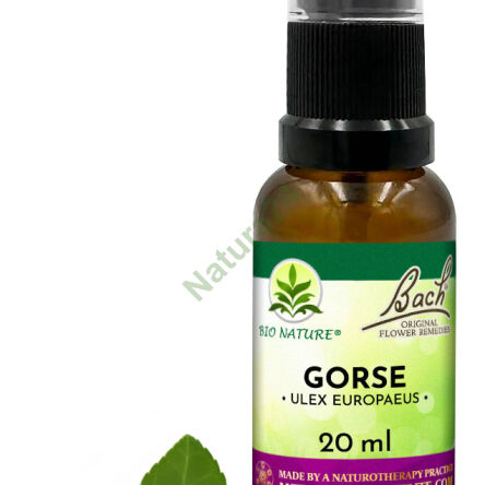 13. GORSE / Kolcolist zachodni - Kompozycja Bach Original Flower Remedies Nelson 20ml - 2