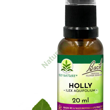 15. HOLLY / Stechpalme - Bach Original Blütenessenzen Nelson 20ml - 2