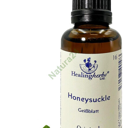 16. GEISSBLATT / Geißblatt 10/30 ml oder Globuli 15 g - 3