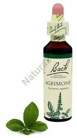 1. AGRIMONY / Rzepik pospolity 20 ml Nelson Bach Original Flower Remedies englisch