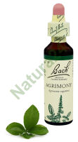 1. AGRIMONY / Rzepik pospolity 20 ml Nelson Bach Original Flower Remedies englisch