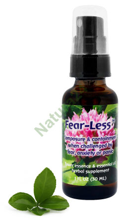 FES Fear-Less Ruhe und Gelassenheit in Situationen, in denen Angst, Furcht oder Panik auftreten 30 ml Spray