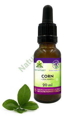 024. Corn - Kompozycja FES 20ml