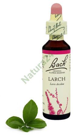 19. LÄRCHE / Europäische Lärche 20 ml Nelson Bach Original Blütenessenzen