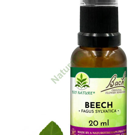 03. BEECH / Buk pospolity / czerwony - Kompozycja Bach Original Flower Remedies Nelson 20ml - 2