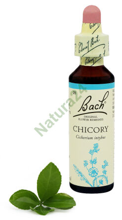 8. CHICORÉE / Wegwarte 20 ml Nelson Bach Original Blütenessenzen