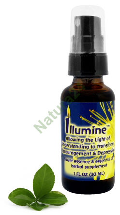 FES Illumine Ermöglicht dem Licht des Verstehens, Entmutigung und Depression zu verwandeln 30 ml Spray