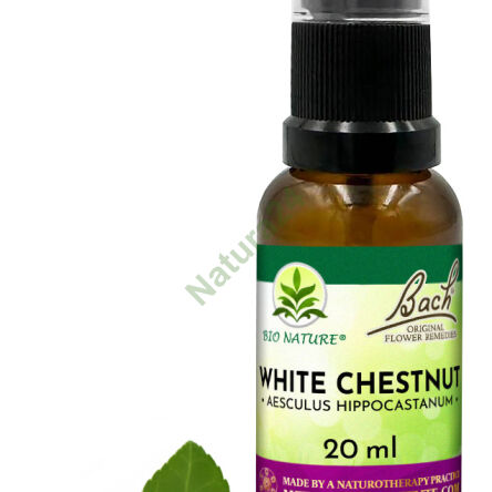 35. WHITE CHESTNUT / Kasztanowiec zwyczajny - Kompozycja Bach Original Flower Remedies Nelson 20ml - 2