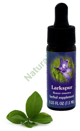 FES Rittersporn 7,5 ml Tropfen