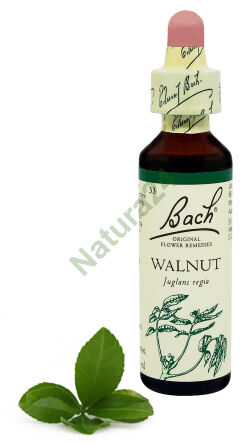 33. WALNUSS / Walnuss 20 ml Nelson Bach Original Flower Remedies