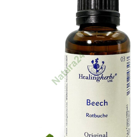 3. BUCHEN / Gewöhnliche Buche / rot 10/30 ml oder Globuli 15 g - 3