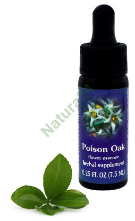 FES Poison Oak 7,5 ml Tropfen