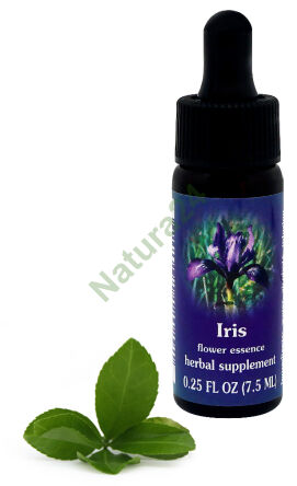 FES Iris 7,5 ml Tropfen