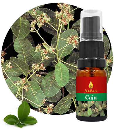 06. Caju 10 ml Ararêtama Rainforest Essences