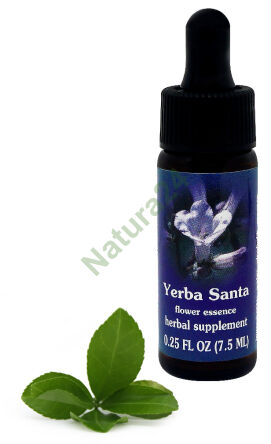 FES Yerba Santa 7,5 ml Tropfen