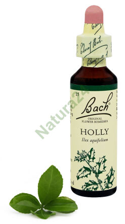 15. HOLLY / Stechpalme 20 ml Nelson Bach Original Blütenessenzen