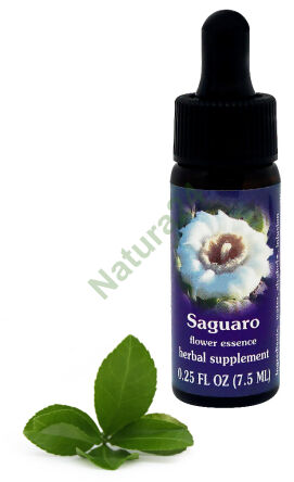FES Saguaro 7,5 ml Tropfen