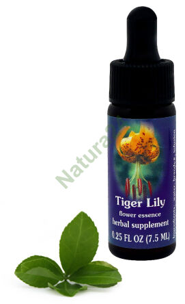 FES Tigerlilie 7,5 ml Tropfen