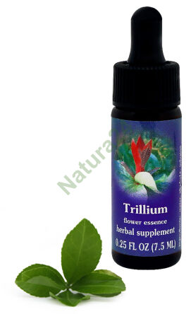 FES Trillium 7,5 ml Tropfen