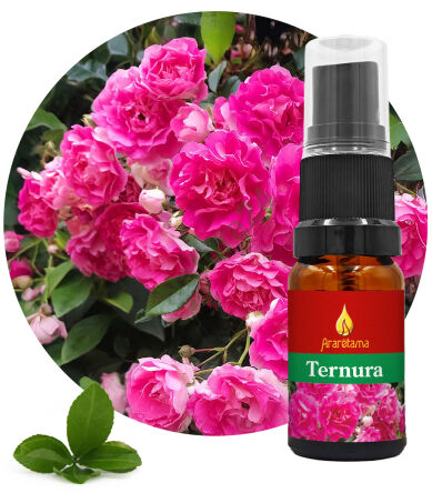 60. Tenderness Ternura 10 ml Ararêtama Rainforest Essences