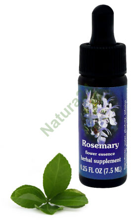 FES Rosmarin 7,5 ml Tropfen