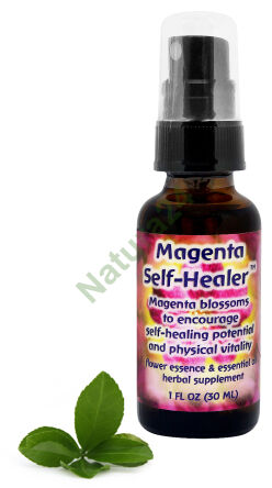 FES Magenta Selbstheilung Unterstützt das Potenzial der Selbstheilung und körperlichen Vitalität 30 ml Spray