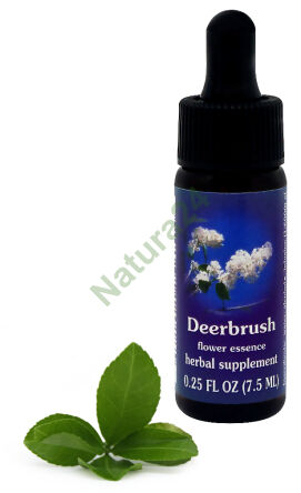 FES Deerbrush 7,5 ml Tropfen
