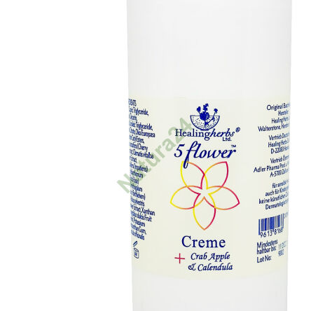 BACH Kompozycja 5 flower krem - 2