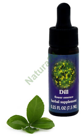FES Dill 7,5 ml Tropfen