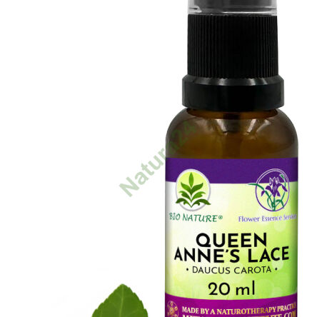 073. Queen Anne’s Lace - Kompozycja FES 20ml - 2