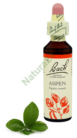 2. ASPEN / Espe 20 ml Nelson Bach Original Blütenessenzen Englisch